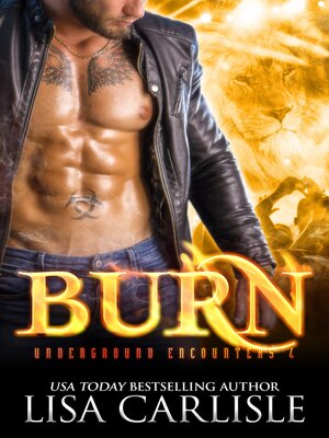 cover image of BURN